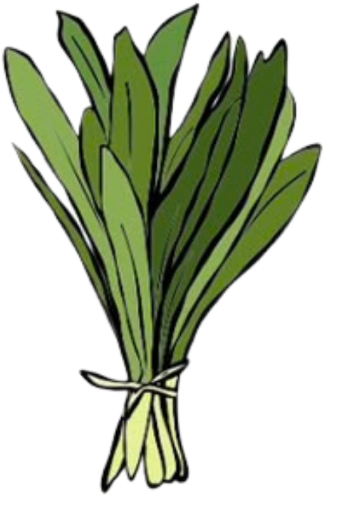 Recao