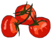 Tomatoes