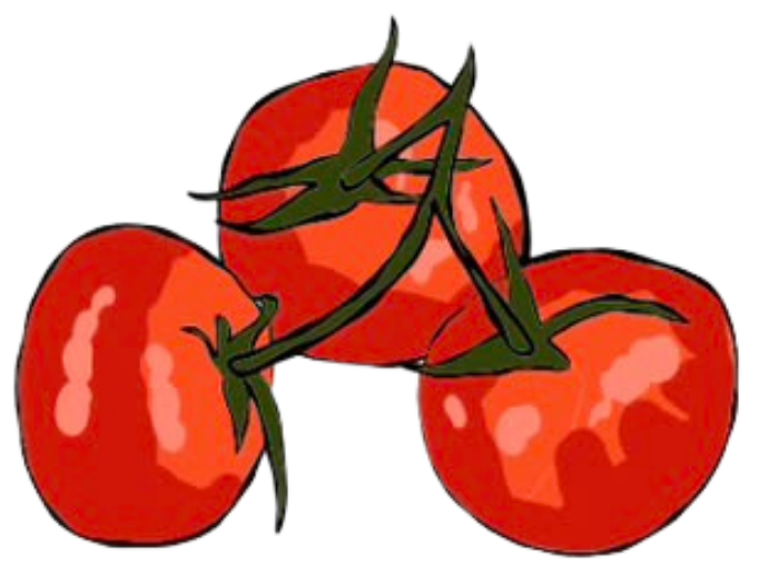 Tomate